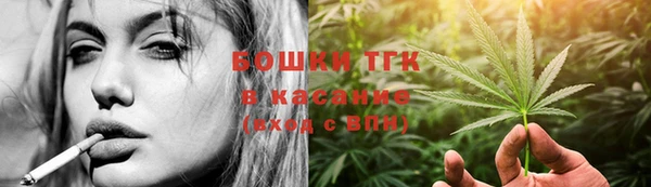 гашик Алексин