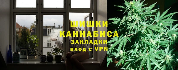 ALPHA PVP Покачи