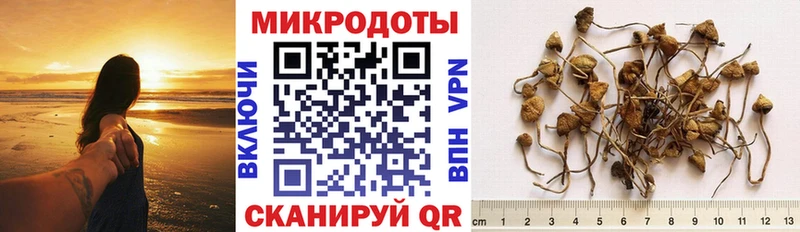 Галлюциногенные грибы Cubensis  Кохма 